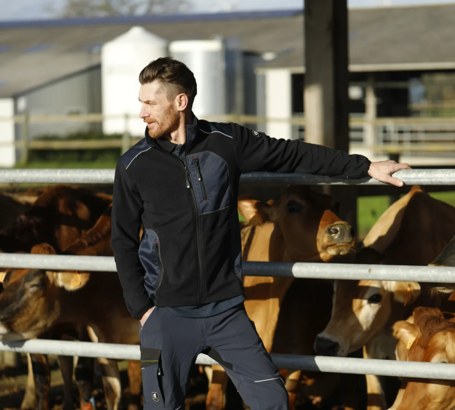 darmoz veste legere en polaire brewen